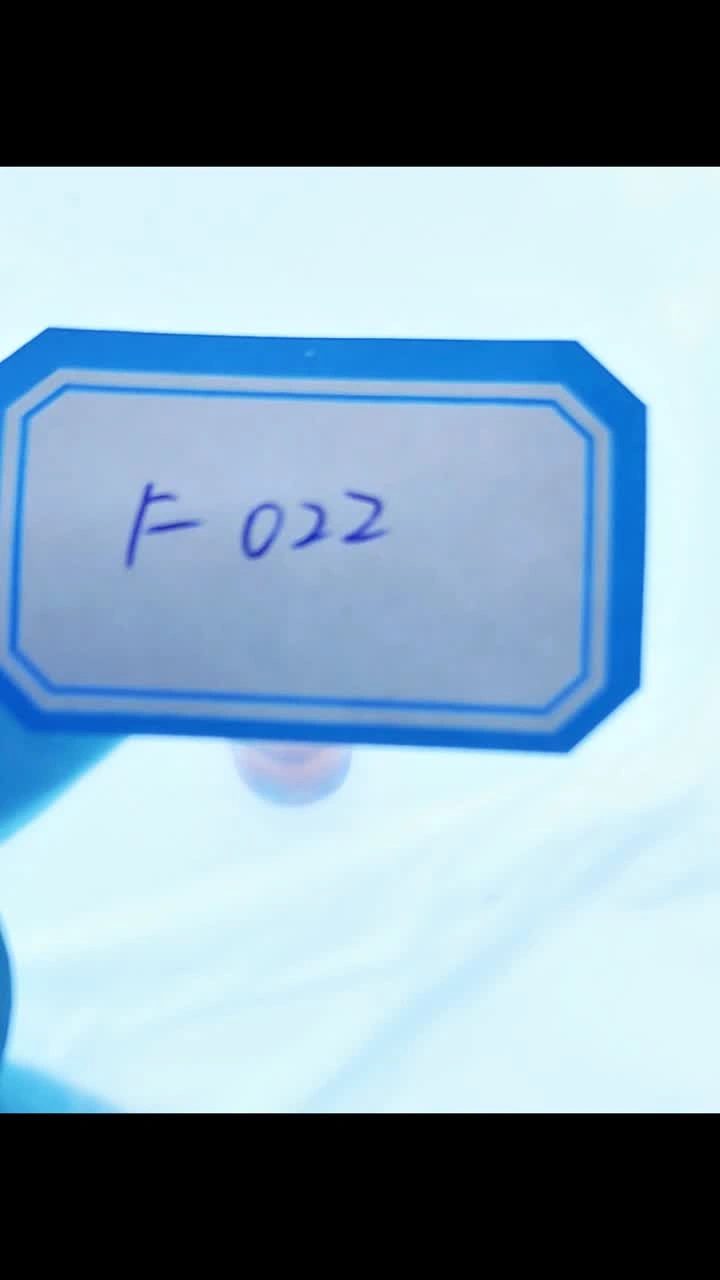 F022Kjellberg